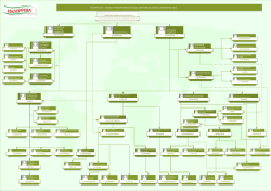 ΟΡΓΑΝΟΓΡΑΜΜΑ_ΙΑΝΟΥΑΡΙΟΣ 2015.pdf