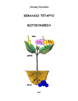 ΦΩΤΟΣΥΝΘΕΣΗ (Λουκά Νικολάου)