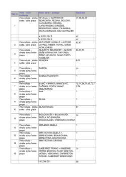 Sortna lista vinove loze 2013.