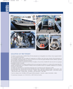 GOLDFISH 29` RIB TENDER