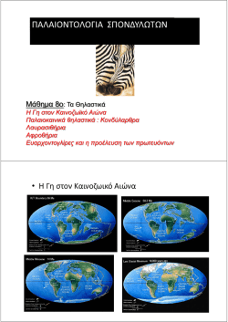 File - d.s.kostopoulos