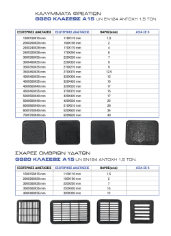 χυτοσιδηρα καλυμματα φρεατιων