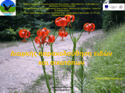 1.1 - &Kappa;ά&rho;&lambda;&alpha;&sigmaf; - &Mu;&alpha;&upsilon;&rho;&omicron;&beta;&omicron;&upsilon;&nu;ί&omicron;&upsilon; - &Kappa;&epsilon;&phi;&alpha;&lambda;ό&beta;&rho;&upsilon;&sigma;&omicron;&upsilon;