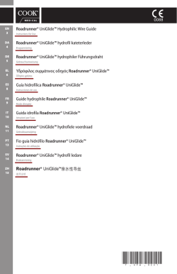 HiWire&trade; Hydrpphilic Wire Guide
