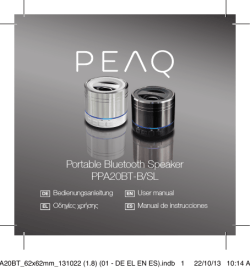 Portable Bluetooth Speaker PPA20BT-B/SL