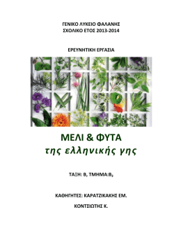 2&omicron; 4/&mu;&eta;&nu;&omicron; &Epsilon;&rho;&epsilon;&upsilon;&nu;&eta;&tau;&iota;&kappa;ή &Epsilon;&rho;&gamma;&alpha;&sigma;ί&alpha;