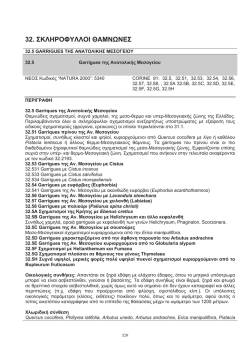 Garrigues της Ανατολικής Μεσογείου