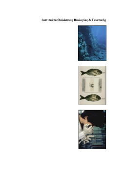 &Iota;&nu;&sigma;&tau;&iota;&tau;&omicron;ύ&tau;&omicron; &Theta;&alpha;&lambda;ά&sigma;&sigma;&iota;&alpha;&sigmaf; &Beta;&iota;&omicron;&lambda;&omicron;&gamma;ί&alpha;&sigmaf; &kappa;&alpha;&iota; &Gamma;&epsilon;&nu;&epsilon;&tau;&iota;&kappa;ή&sigmaf;