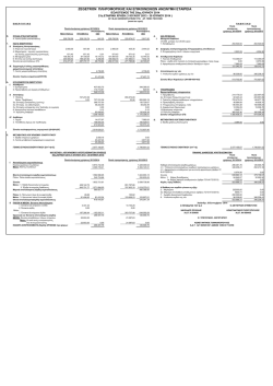 Balance Sheet 12/13