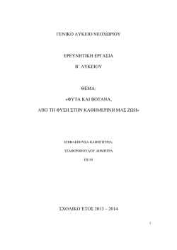 &Beta;&Omicron;&Tau;&Alpha;&Nu;&Alpha; &Tau;&Epsilon;&Lambda;&Iota;&Kappa;&Eta; &Epsilon;&Rho;&Gamma;&Alpha;&Sigma;&Iota;&Alpha;
