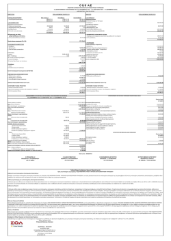 Ενοποιημένος Ισολογισμός 2013