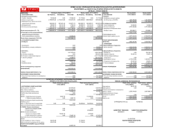 ισολογισμος 2013