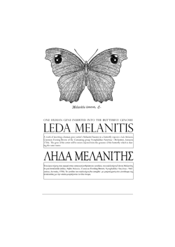 Poster in pdf - YIANNIS MELANITIS