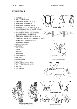 &Chi;&Epsilon;&Iota;&Rho;&Iota;&Sigma;&Mu;&Omicron;&Iota; &Rho;&Alpha;&Chi;&Eta;&Sigma;