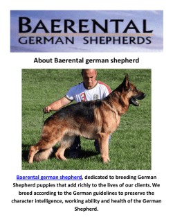 Baerental German Shepherd Breeders Maine