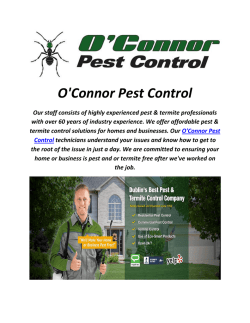 termite control in dublin