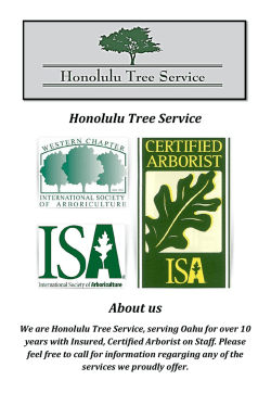 Honolulu Tree Services, HI (808-561-1000)