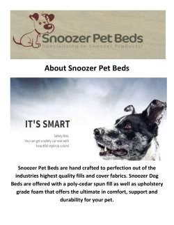 Snoozer Pet Beds : Snoozer Orthopedic Dog Bed