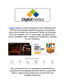 Digital Vertex Web Design in Malibu