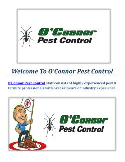 O'Connor Pest Control : Termite Inspections in Dublin, CA