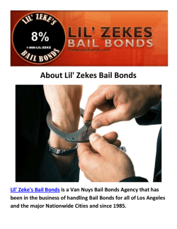 Lil' Zekes Bail Bonds Agents