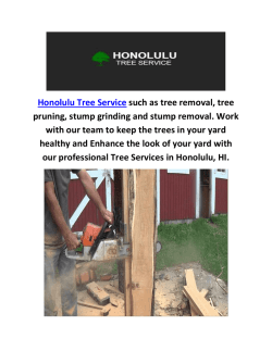 Tree removal Honolulu Service in hi