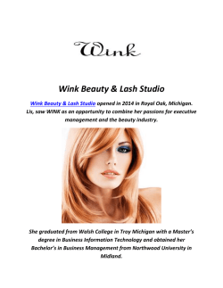 Wink Beauty & Lash Studio : Royal Oak Salons (248-496-1635)