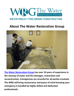 The Water Restoration Group Mold Removal Miami