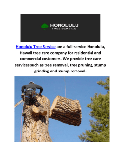 Honolulu Tree Service | Top Rated Local Tree Service
