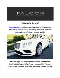 Falcon BMW Car Rental In LA