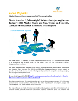 North America 2,5-Dimethyl-2,5-di(tert-butylperoxy)hexane Industry 2016 Market Share and Size, Trends and Growth, Analysis and Research Report By Hexa Reports