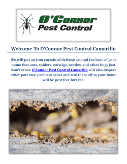 O'Connor Ant Control Service in Camarillo, CA