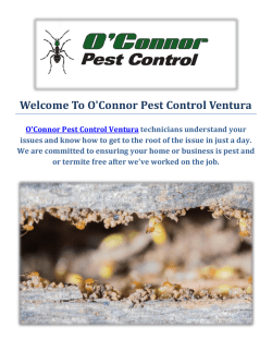 O'Connor Pest & Termite Control Company in Ventura, CA