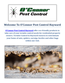 O'Connor Pest & Termite Control Service in Hayward