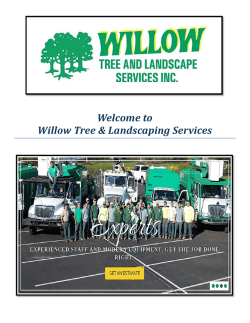Willow Tree & Landscaping Services : Tree Service In Bucks County, PA