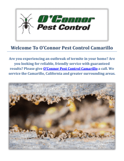 O'Connor Pest & Termite Control Service in Camarillo