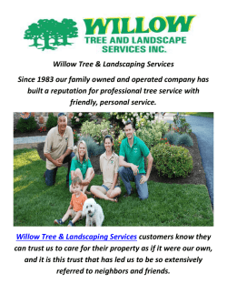 Willow Tree & Landscaping Services In Philadelphia