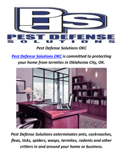 Pest Defense Solutions : Pest Control Oklahoma City, OK