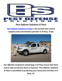 Pest Defense Solutions In El Paso, TX