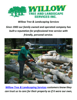 Willow Tree & Landscaping Services In Montgomery County