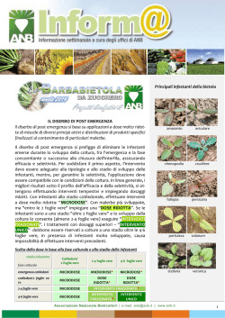 diserbo post emergenza 2014 - Associazione Nazionale Bieticoltori
