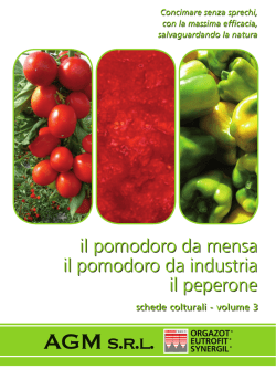 scheda agm pomodoro eutrofit orgazot synergil