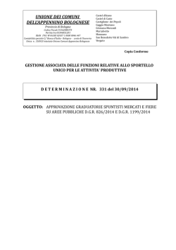 DETERMINA 331 APPROVAZIONE GRADUATORIE SPUNTISTI-1