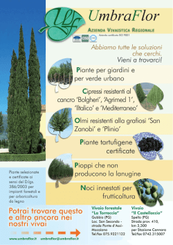 Piante tartufigene