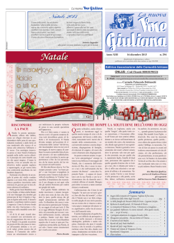 n. 294 - 16 dicembre 2013