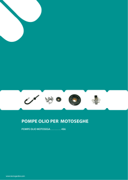 pompe olio motosega