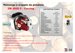 Motosega a scoppio da potatura ZM 2600 C - Carving