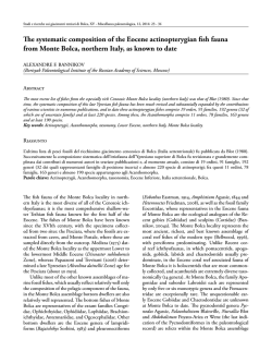 The systematic composition of the Eocene