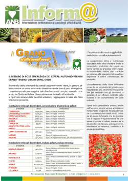 programma - Comune di Roma