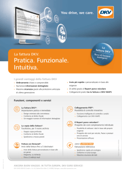Modello di fattura commentata - DKV Euro Service GmbH + Co. KG